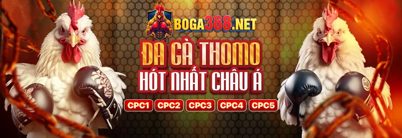 Chương trình VIP kubet11 info